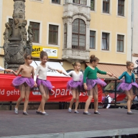 DSCF7311